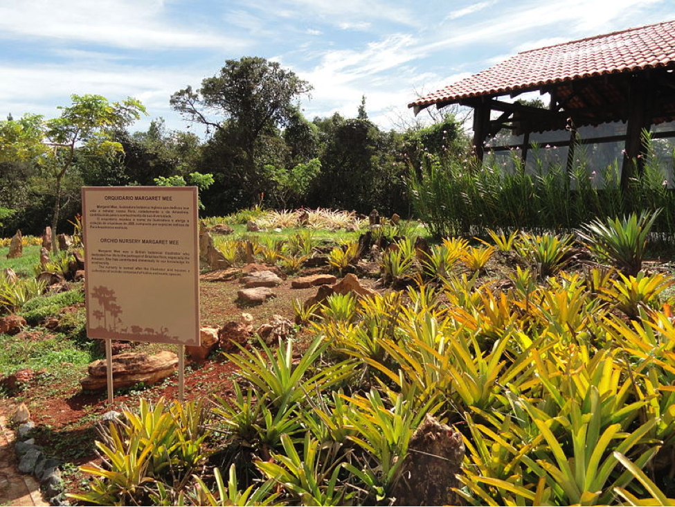 Orchid Nursery Margaret Mee, Jardim Botânico de Brasília, Brasilia, Brazil