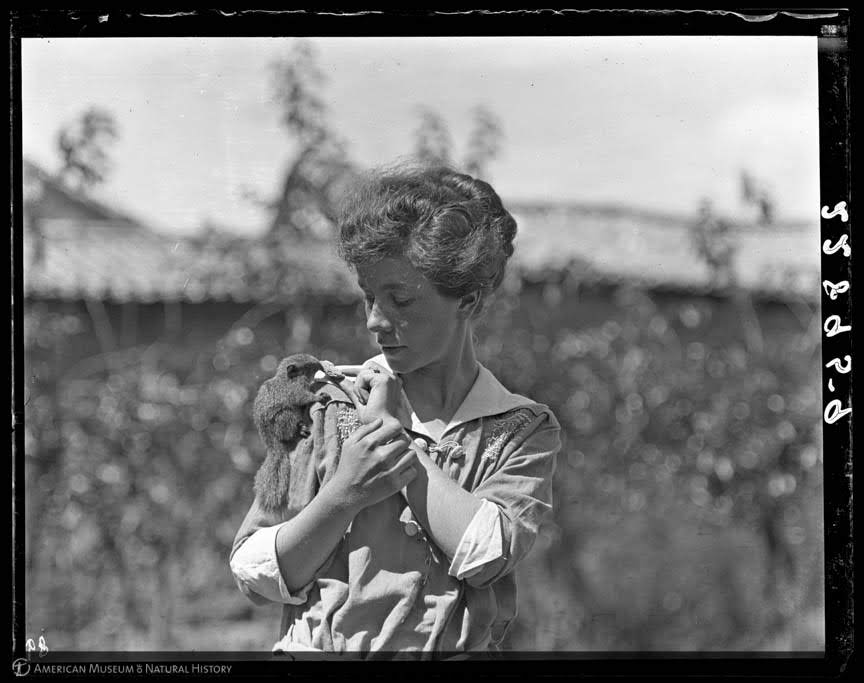 Yvette Borup Andrews with squirrel, China, September 20, 1916,” Research Library | Digital Special Collections, accessed July 10, 2018, http-::lbry-web-007.amnh.org:digital:items:show:74486.