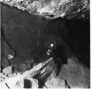 Bertha Parker Pallan [Cody] (1907-1978) is considered one of the first female Native American archaeologists. She is shown here in the place where she discovered the Giant Sloth.