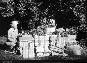 Margery Carlson (1892-1985) Botany Research Associate shown [outdoors] with some of the packs of [plant] specimens she collected on expedition. © The Field Museum, B80585.