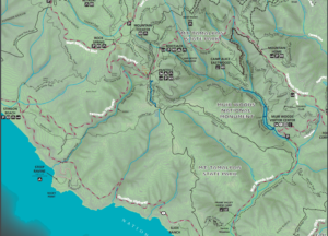 Camp Alice Eastwood (in northeast corner), Full color Muir Woods trail map showing topographic lines for the entire region, including Muir Woods and Mount